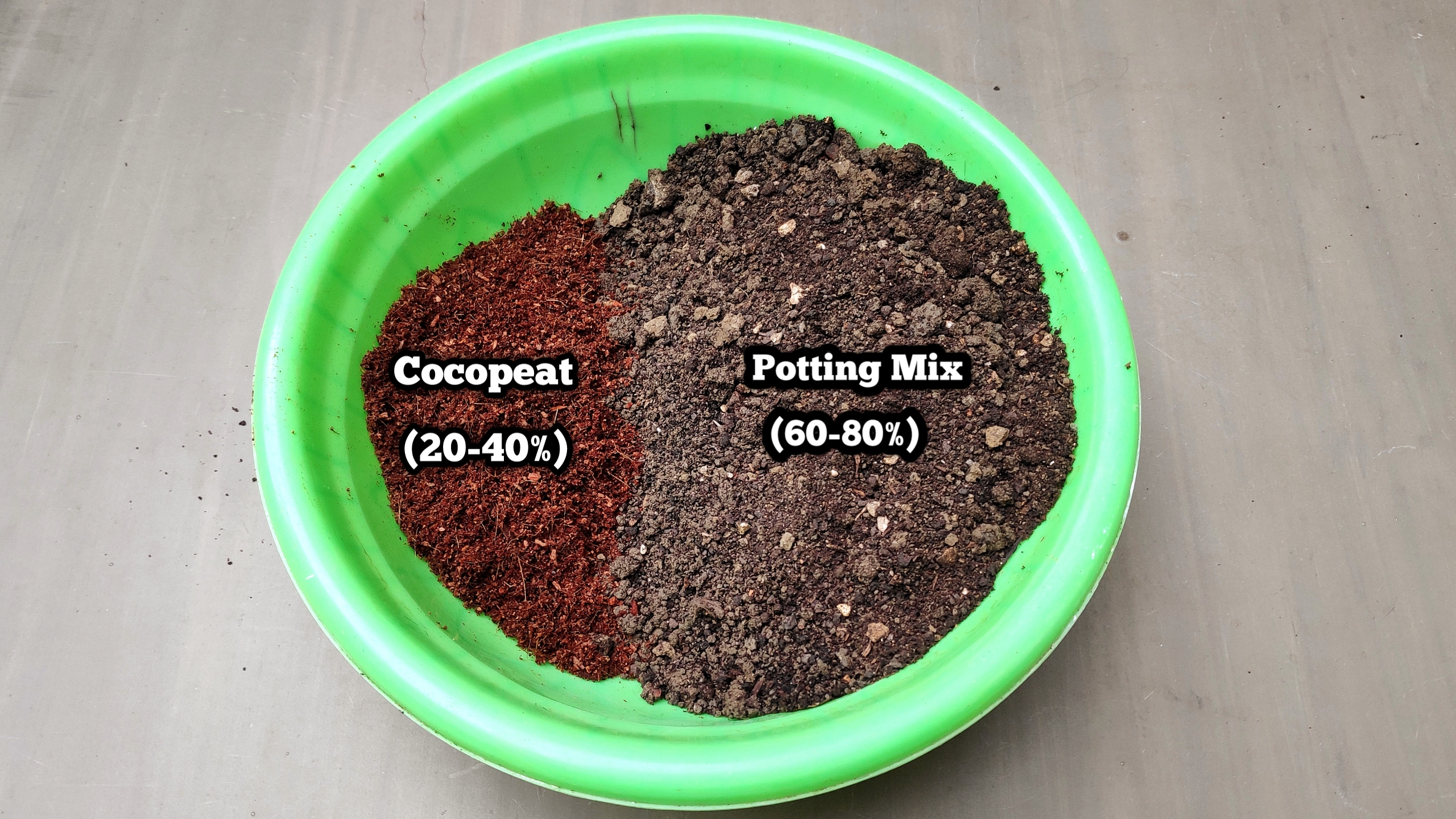 cocopeat soil
