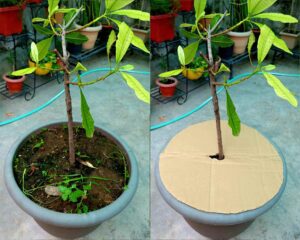 weed barrier of corrugated sheet